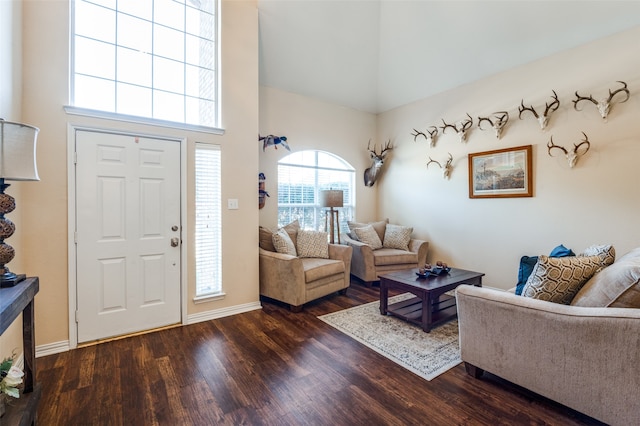 living room with a high ceiling and dark hardwood / wood-style floors