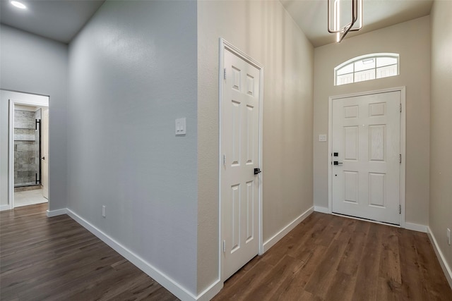 entrance foyer with dark hardwood / wood-style flooring