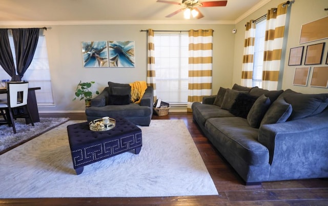 living room with ceiling fan, dark hardwood / wood-style flooring, and crown molding