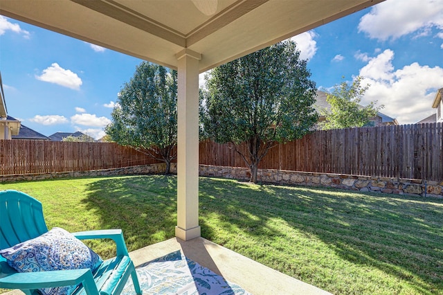 view of yard featuring a patio area