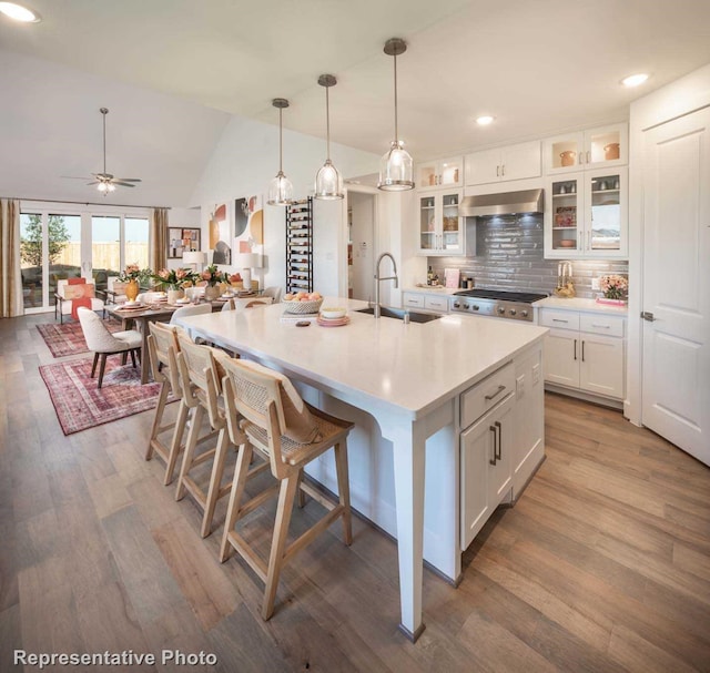 kitchen with ceiling fan, a kitchen island with sink, sink, white cabinetry, and range hood