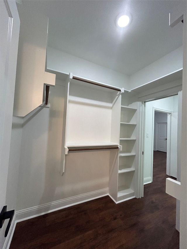 walk in closet featuring dark hardwood / wood-style floors