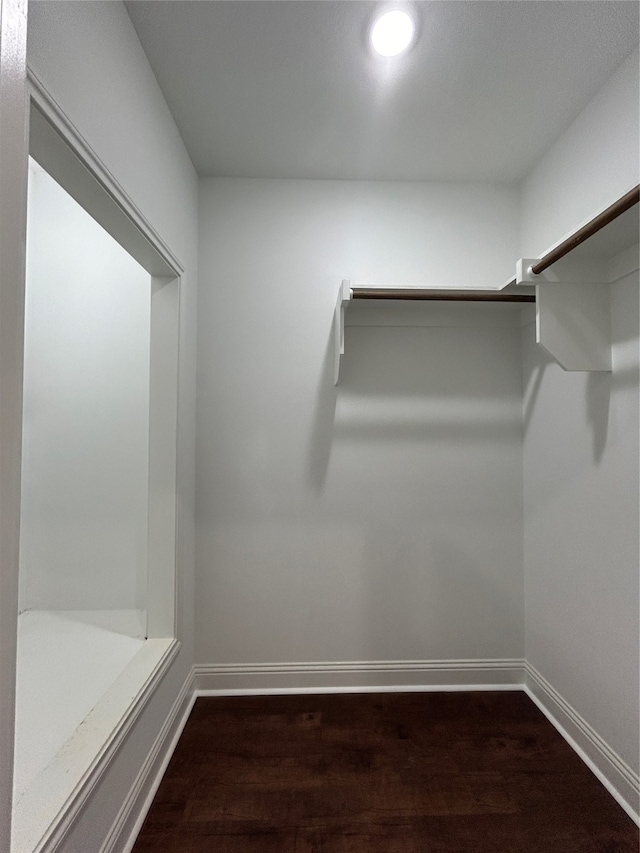 walk in closet with dark hardwood / wood-style floors