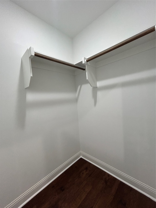 spacious closet with wood-type flooring