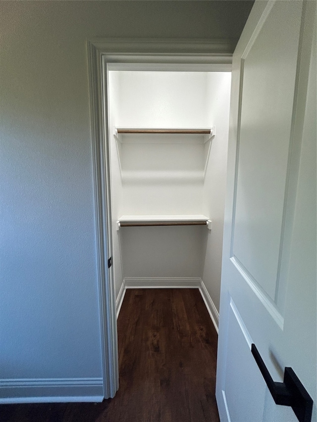 spacious closet with dark wood-type flooring