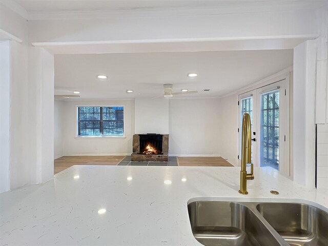 kitchen featuring a wealth of natural light, a warm lit fireplace, a sink, and wood finished floors