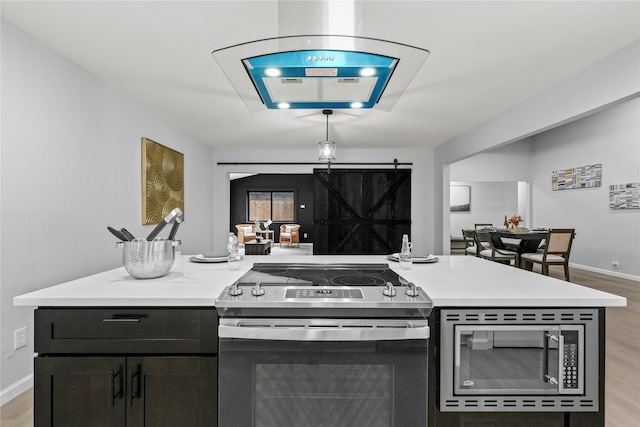 kitchen with stainless steel appliances, a barn door, and light hardwood / wood-style floors