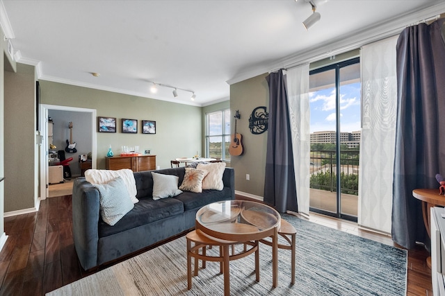 living room with wood-type flooring, rail lighting, and ornamental molding