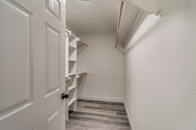 walk in closet with wood-type flooring