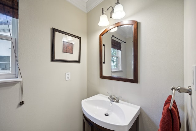 bathroom with vanity, a healthy amount of sunlight, and ornamental molding