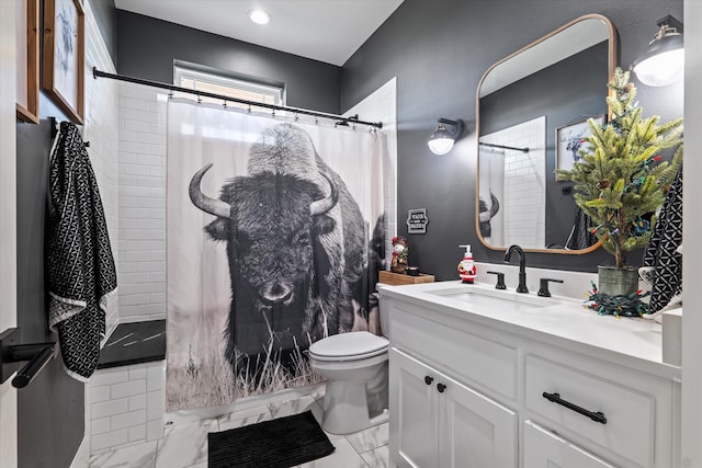 bathroom featuring vanity, curtained shower, and toilet