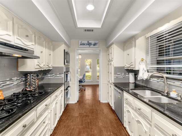 kitchen featuring stainless steel dishwasher, decorative backsplash, dark hardwood / wood-style floors, and sink