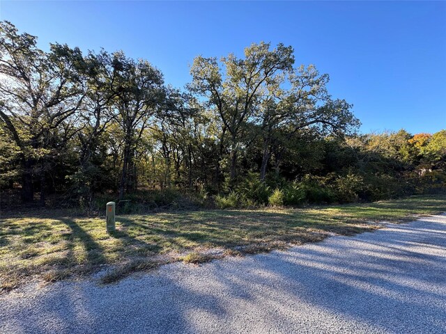 20 Timber Trl, Tioga TX, 76271 land for sale