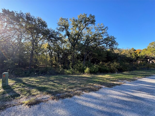 20 Timber Trl, Tioga, TX 76271