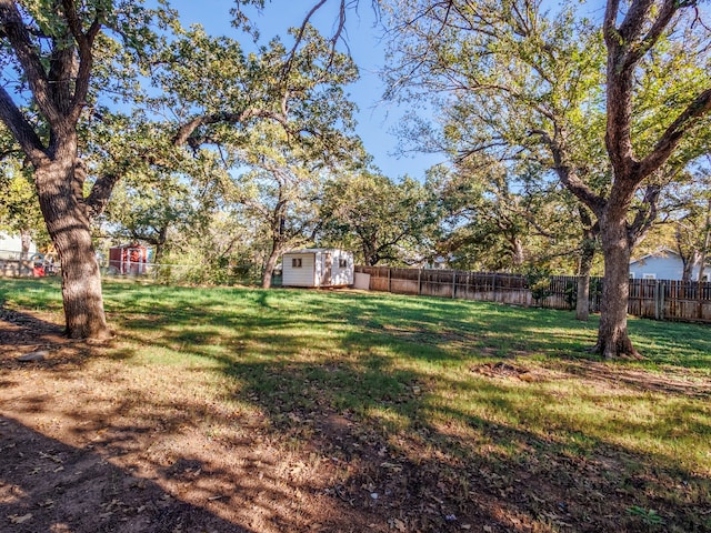 view of yard featuring a storage shed