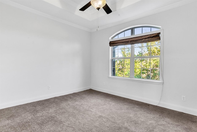 carpeted spare room with ornamental molding, ceiling fan, and a tray ceiling