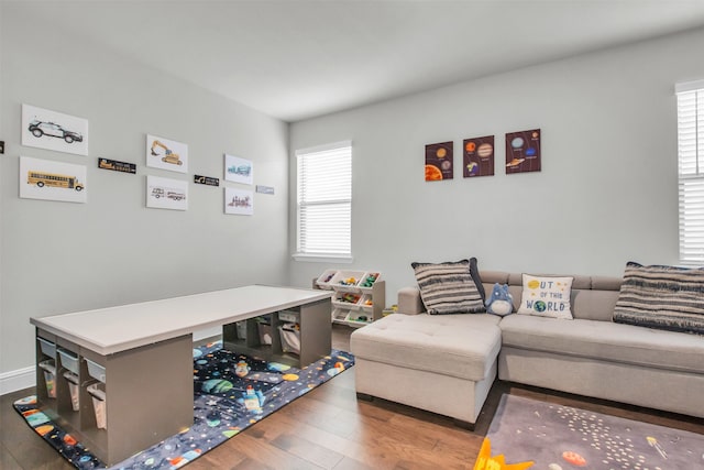 living room featuring hardwood / wood-style flooring and plenty of natural light