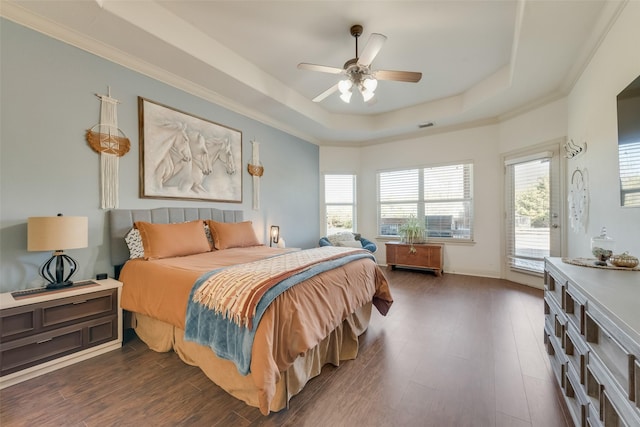 bedroom featuring multiple windows, a tray ceiling, ceiling fan, and dark wood-type flooring