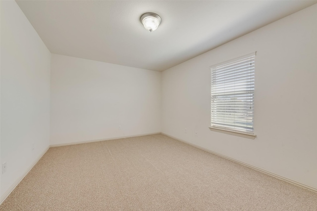 spare room with carpet