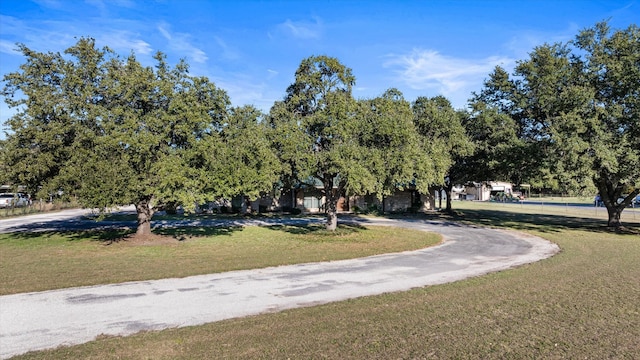 view of street featuring driveway