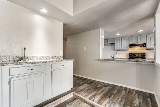 kitchen with dark hardwood / wood-style flooring, black stove, gray cabinets, and sink