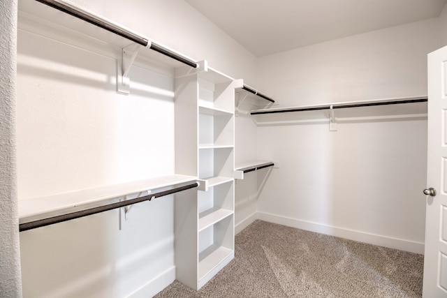 walk in closet featuring light colored carpet