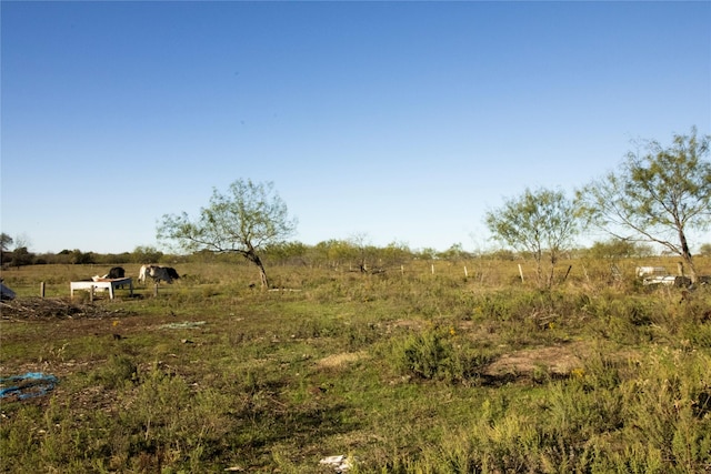 332 NW County Road 2005, Corsicana, TX 75110 - view of yard with a rural view