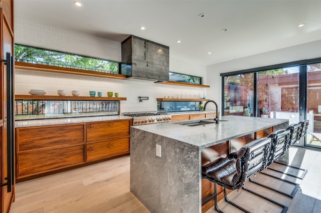 kitchen featuring sink, an island with sink, a healthy amount of sunlight, and light hardwood / wood-style floors