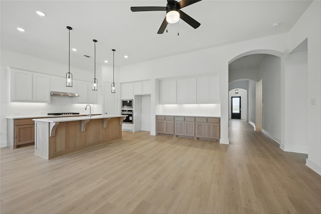 kitchen with stainless steel appliances, recessed lighting, light wood-style floors, a ceiling fan, and under cabinet range hood