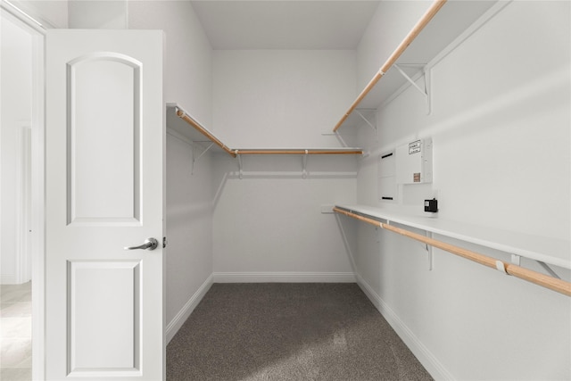 walk in closet with carpet flooring