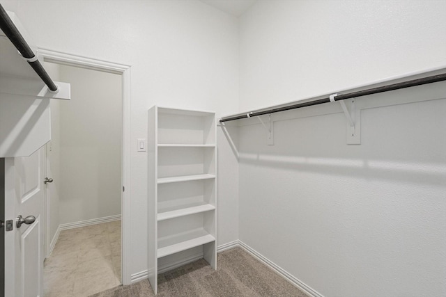 spacious closet with light colored carpet