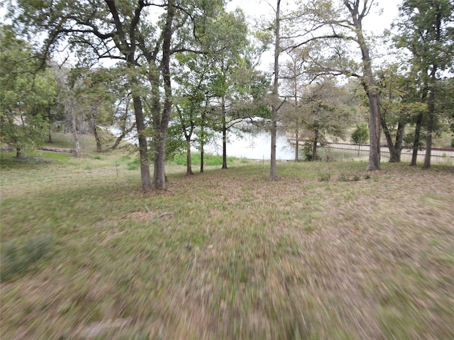 Listing photo 3 for TBD SE County Road 2359b, Streetman TX 75859