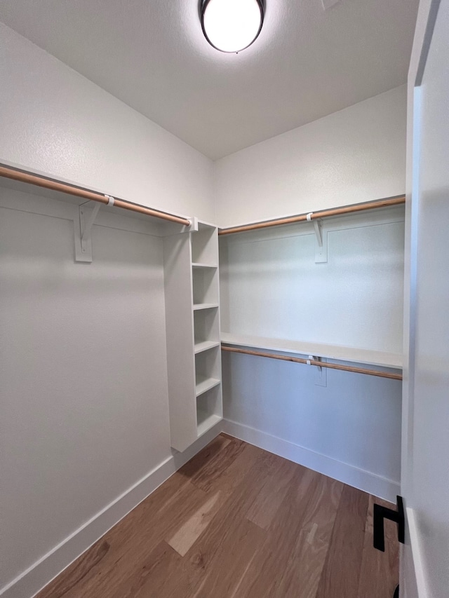 walk in closet with hardwood / wood-style flooring