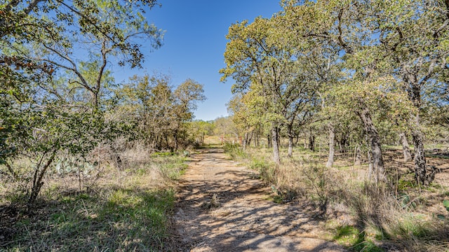 Listing photo 3 for TBD N Virginia, Eastland TX 76448