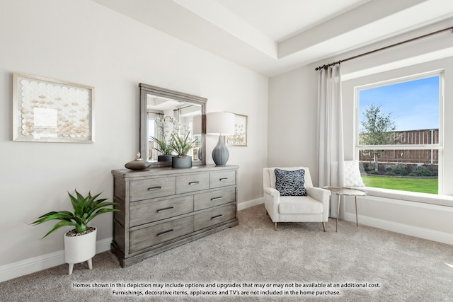 sitting room featuring light colored carpet