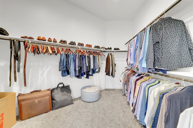 walk in closet with carpet flooring