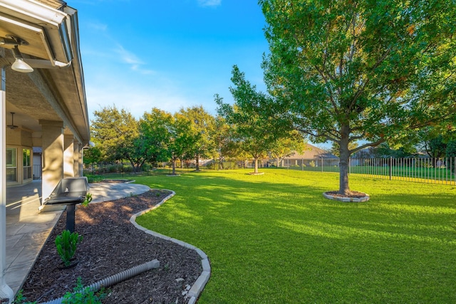 view of yard with a patio