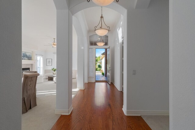 carpeted living room featuring ceiling fan