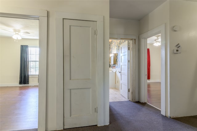 hallway with hardwood / wood-style floors