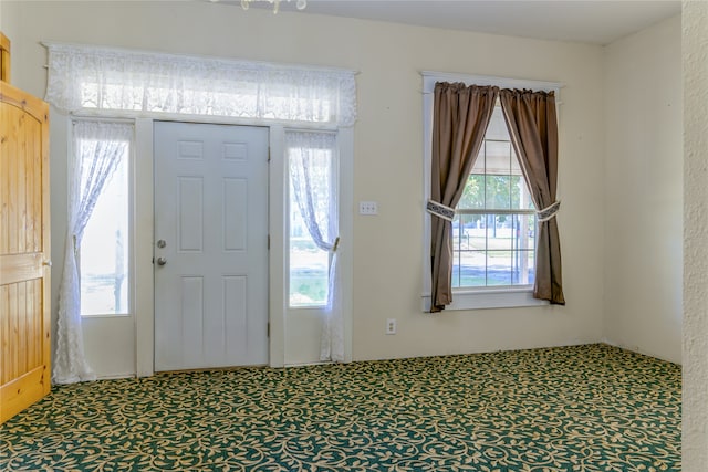 foyer with plenty of natural light