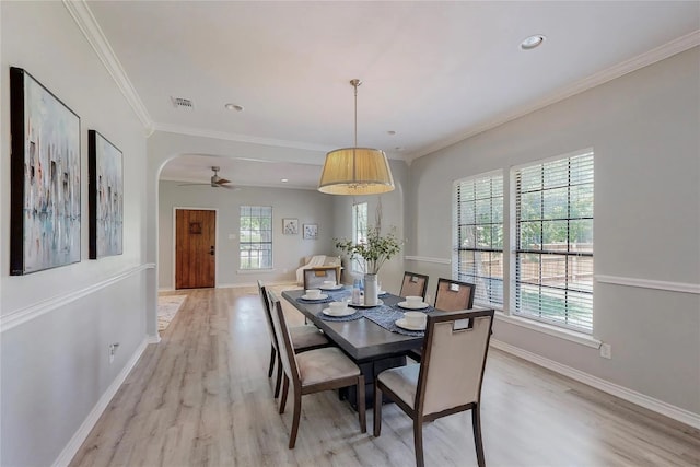 dining space featuring light hardwood / wood-style flooring, a wealth of natural light, crown molding, and ceiling fan