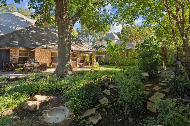 view of yard featuring a patio area