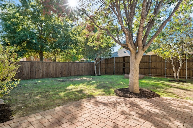 view of yard featuring a patio area