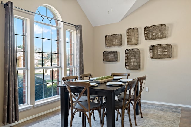 dining space featuring lofted ceiling and a wealth of natural light