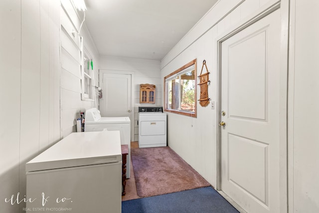 clothes washing area with washer and dryer, dark colored carpet, and wood walls