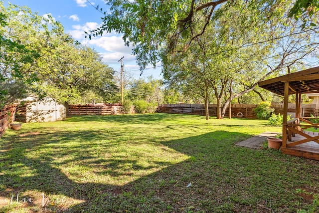 view of yard with a shed