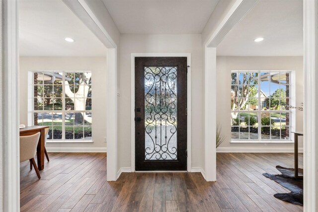 entrance foyer featuring dark hardwood / wood-style flooring