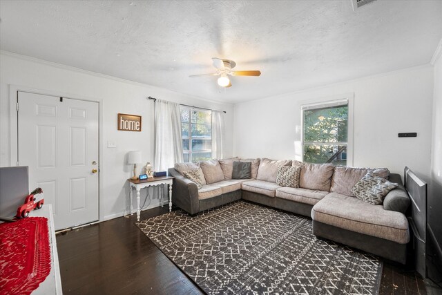 living room with a textured ceiling, dark hardwood / wood-style floors, ceiling fan, and ornamental molding