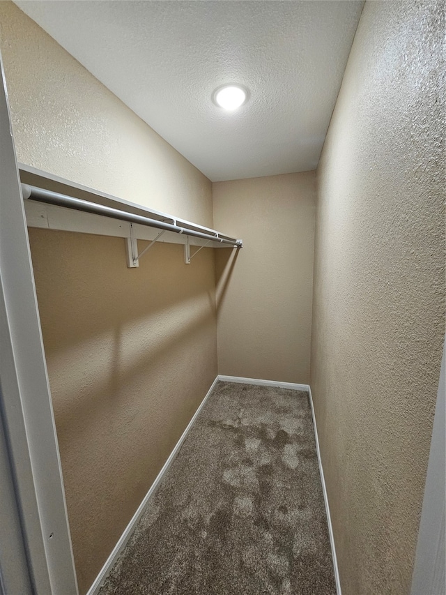 spacious closet with carpet floors