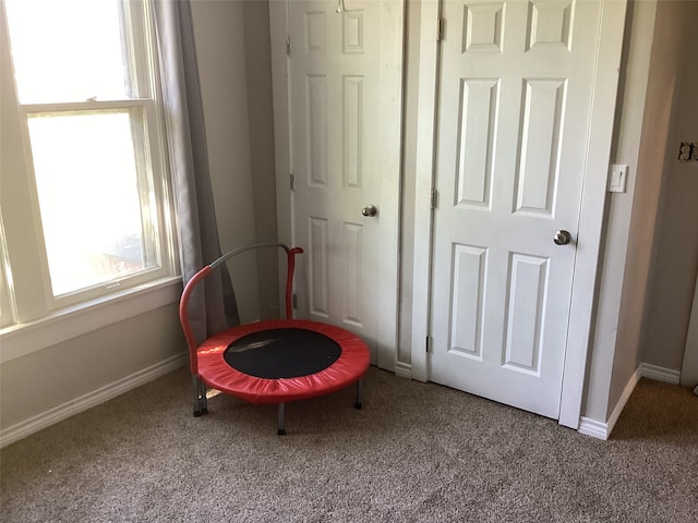 sitting room featuring carpet floors